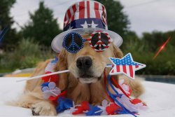 rev-goldenretriever-july-4th.jpg