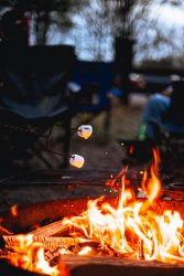 00728_Campfire-Marshmallow-Smores-1_LR__DSC8828.jpg