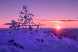 winter - 16.jpg