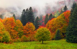 Vermont-Fall-Colors.jpg