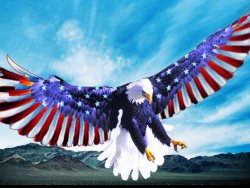 4thjuly-eagle.jpg