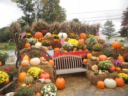 fall-new-england-pumpkins-apples-mums-more-2779487.jpg