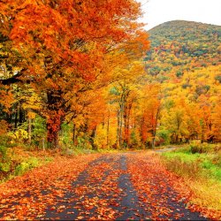 autumn-in-the-pioneer-valley-region-of-royalty-free-image-487506928-1567078392.jpg