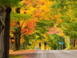 travel_log_fall_colours_20150907_39813629.jpg