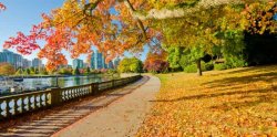28132628_fall-day-vancouver.jpg;w=960.jpg