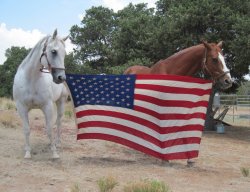 old-glory-boys2.jpg
