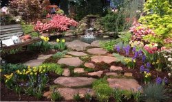 flower-show.jpg