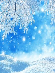 winter - 11.jpg