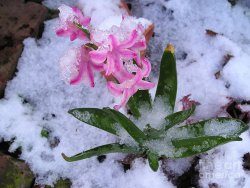 neverending-winter-catherine-howley.jpg