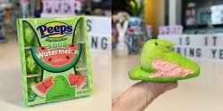 peeps pjimage-2020-03-02t104558-727-1583164240.jpg