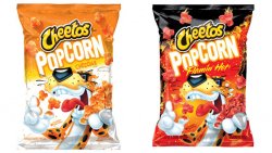 popc cheet1.jpg