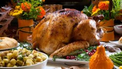181116201808-02-thanksgiving-stock-turkey-exlarge-169.jpg