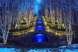 20181120-145807-NAUMKEAGLIGHTS-28b_00493.jpg