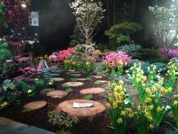flower-show-1.jpg