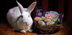 Cadburry.png