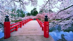 spring-equinox-2.jpg