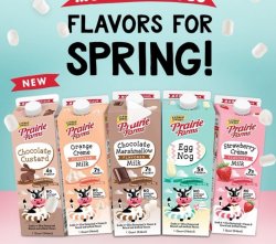 spring moo.jpg