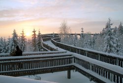 WaldWipfelWeg_im_Winter.jpg
