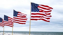 americanflags.jpg