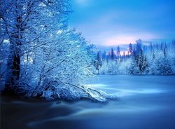 winter - 25.jpg
