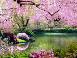 spring pic.jpg