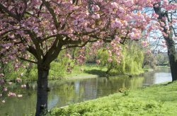 Spring-6.jpg
