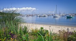 harbour flowers.jpg