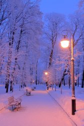 schone-winterbilder-fur-handys-30-min.jpg