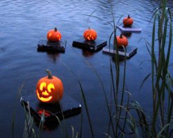 float1.jpg