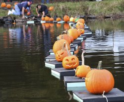 float2.jpg