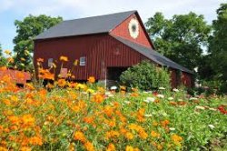 barn.jpg