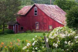 Old-Red-Barn-Flowers-C_dgarti.jpg