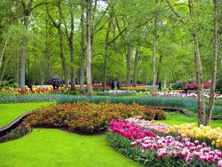 keukenhof-gardens-photos-4.jpg