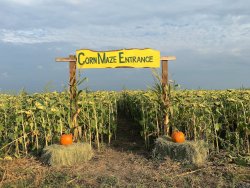 ocsc corn maze picture 2016.jpg