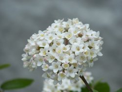100_0839.JPG