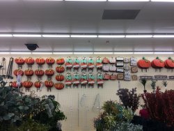 IMG_1217.JPG
