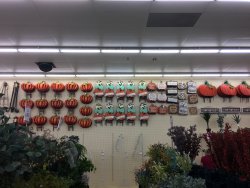 IMG_1218.JPG
