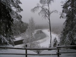 img_1562resized.jpg