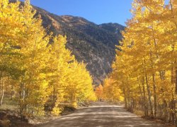 fall-foliage-colorado2.jpg