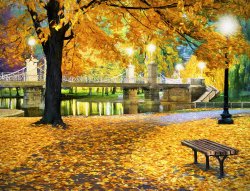 boston-public-garden-james-charles.jpg