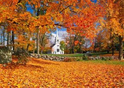 1319776-new-england-fall-colours.jpg