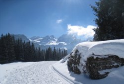 snoww.jpg