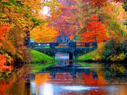 autumn-in-boston-marie-jamieson.jpg