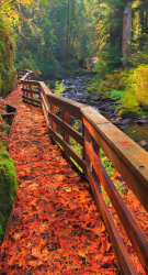 fa79199217e07a357e09ac2d54f6c226.png