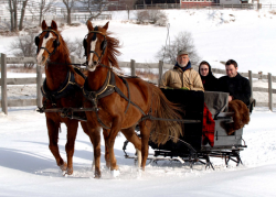 sleighride.png