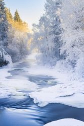 winter sc 1.jpg