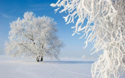 snow 8.jpg