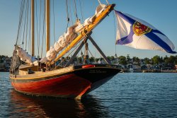 bluenose.jpg