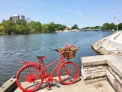 Port_and bike.jpeg