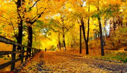 Autumn.jpg